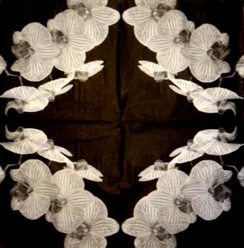 132 Orchids - 3-ply (black/white) - Silver Square
